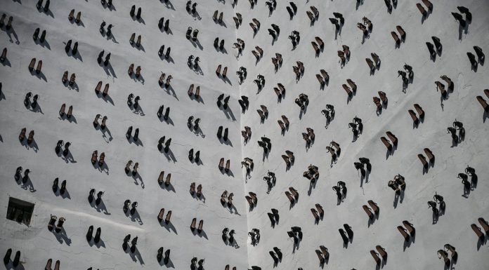 440 palë