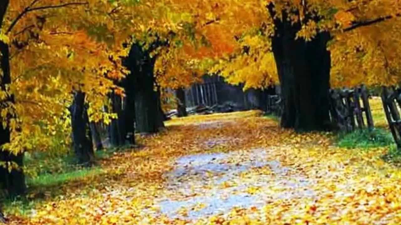 Pytesori “Kur gjethet bien në vjeshtë”, poezia-këngë në gegnisht e shkrimtarit ...