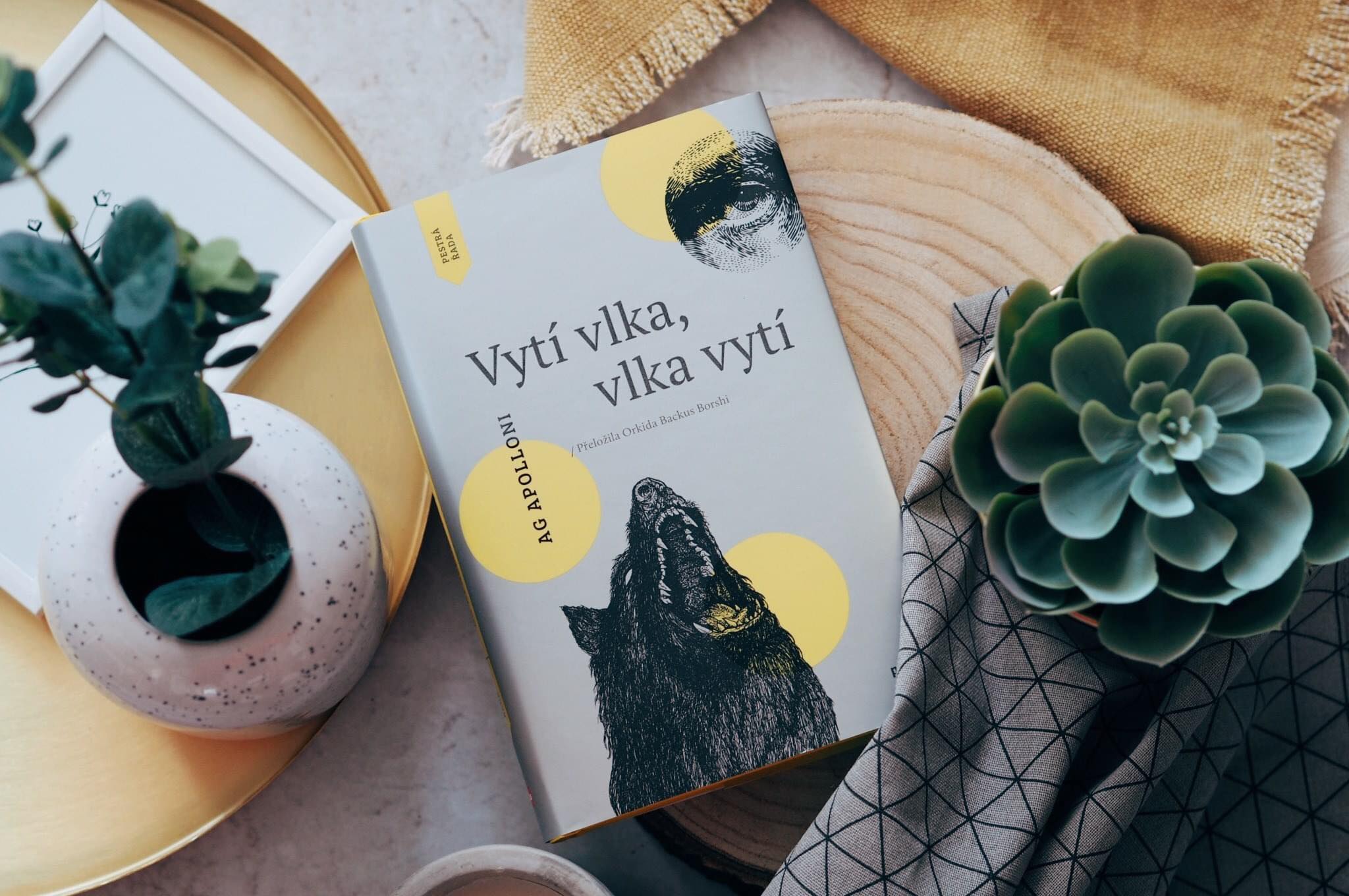 Ferri i Dantes në Kosovë ObserverKult