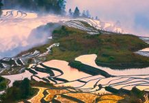 “Shkallët drejt parajsës”, mrekullia e tarracave antike të Kinës