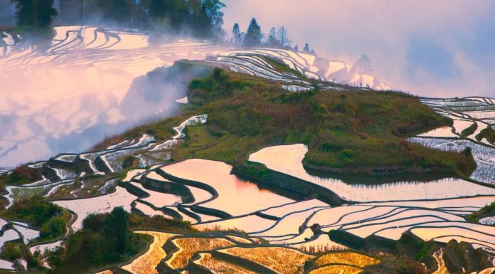 “Shkallët drejt parajsës”, mrekullia e tarracave antike të Kinës