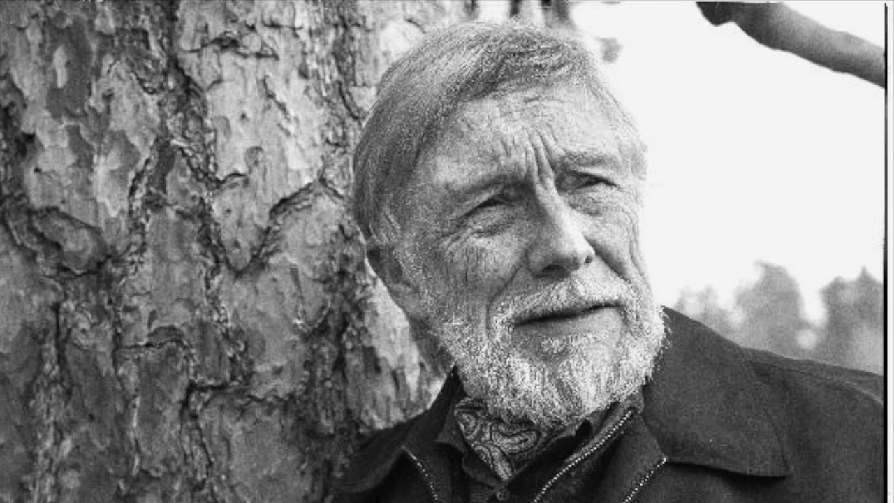 Gary Snyder Paraja shkon kundër rrymës ObserverKult