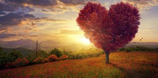 Mrekullia e dashurisë! Edhe njeriun e egër, zemrak e bën zemërmirë, të ndjeshëm, të dhembshur… dashuria