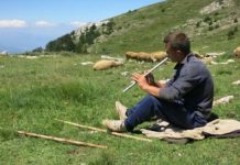 Si u prish miqësia e njeriut me gjarpnin