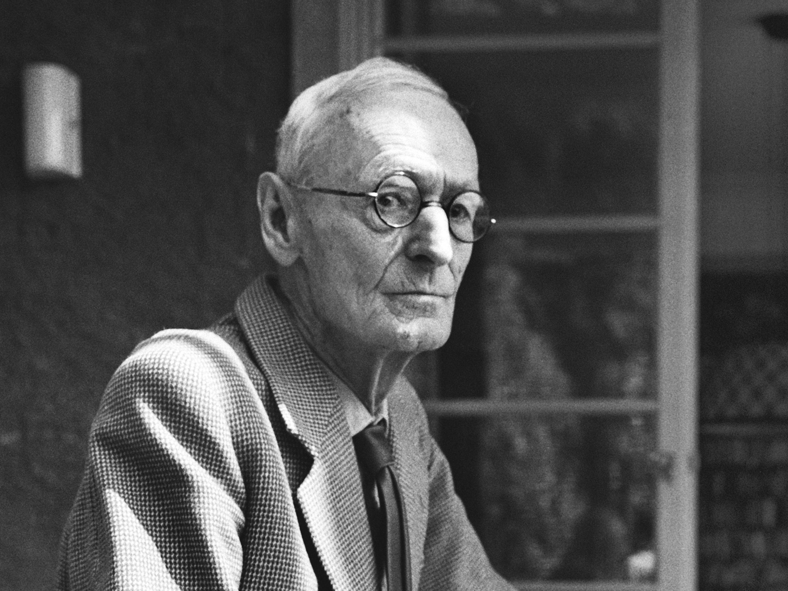 Hermann Hesse Në mjegull ObserverKult