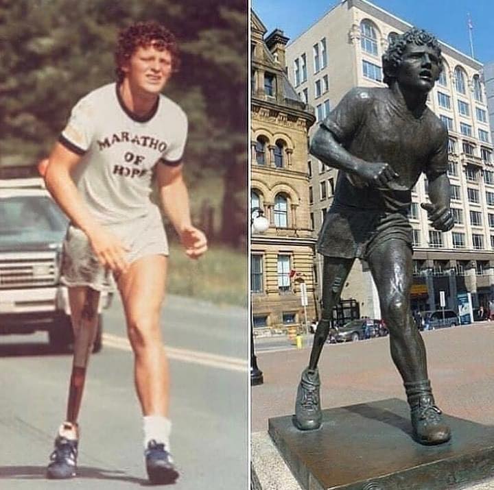 historia e terry fox