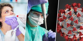 5 vjet më parë erdhi Covidi, sëmundja që na plaku të gjithëve covid