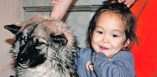 Vajza që mbijetoi në pyll 12 net me arinj e ujqër!