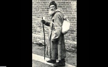 Si i iku trishtimi Tolstoit?