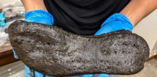 Gjurmë nga e kaluara/ Gjenden këpucë 2000-vjeçare në një fortesë romake në Angli