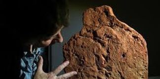 Studiuesit zbuluan një gjurmë dore mbi baltë, 4000-vjeçare