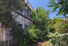 Hapësira e braktisur buzë Parkut të Artit në Kinostudio do të kthehet në kinema verore