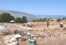 Nisin gërmimet arkeologjike në Parkun Antik të Antigonesë