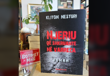 Bona Mulaj Lluka: Analizë letrare e romanit “Njeriu që shkruante në varreza”